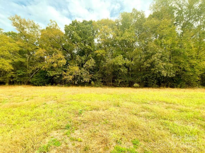 Property Photo:  24990 Birdhouse Lane 4  NC 28097