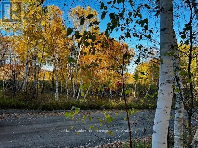 Property Photo:  Lot 16 Seymour Street  ON P1B 8Z4 