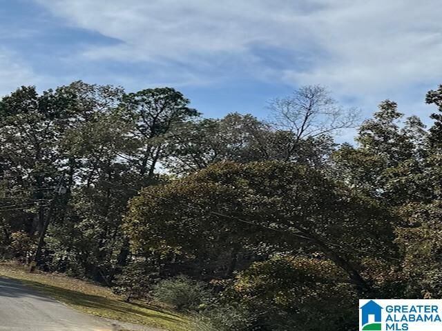 Property Photo:  0 Silver Circle 5  AL 36265