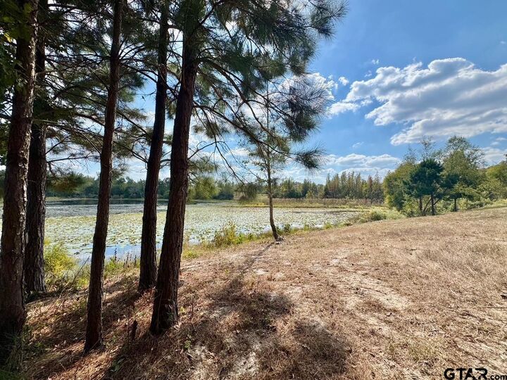 Property Photo:  Lot 17 Cr 3545  TX 75765 