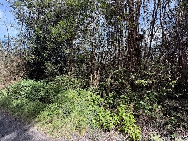 Property Photo: 17-3352 Maunalani Road HI 96771