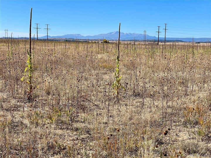 Property Photo:  2 County Road 98  CO 80106 