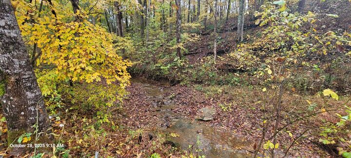 Property Photo:  1121 Breeding Road  KY 42129 
