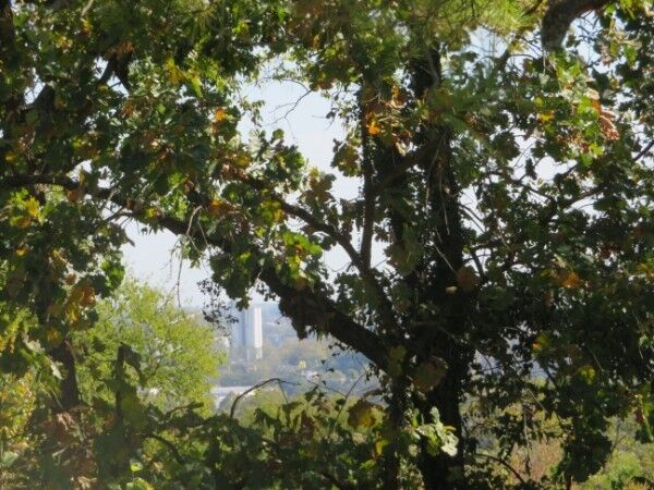 Property Photo:  2306 Alpine Ave  TN 37218