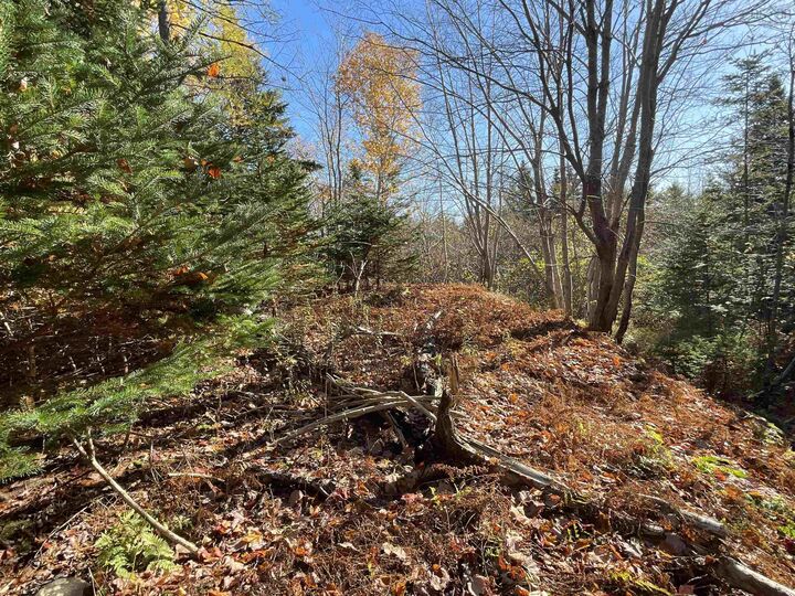 Photo de la propriété:  Mosher Road  NS B0J 2L0 