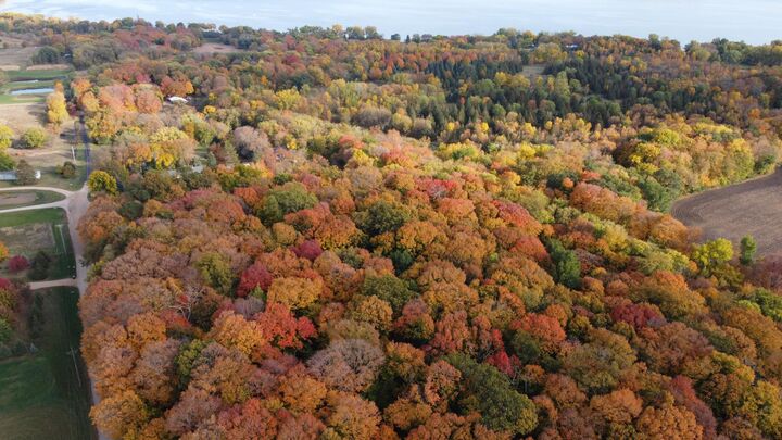 Property Photo:  11275 66th Street  MN 55387