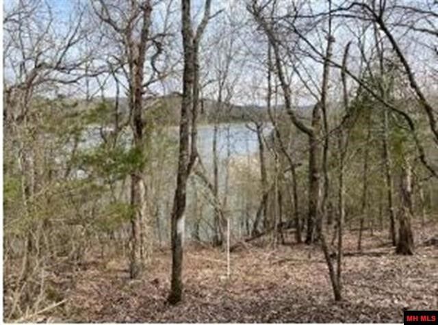 Property Photo:  Mc 8012  AR 72687 