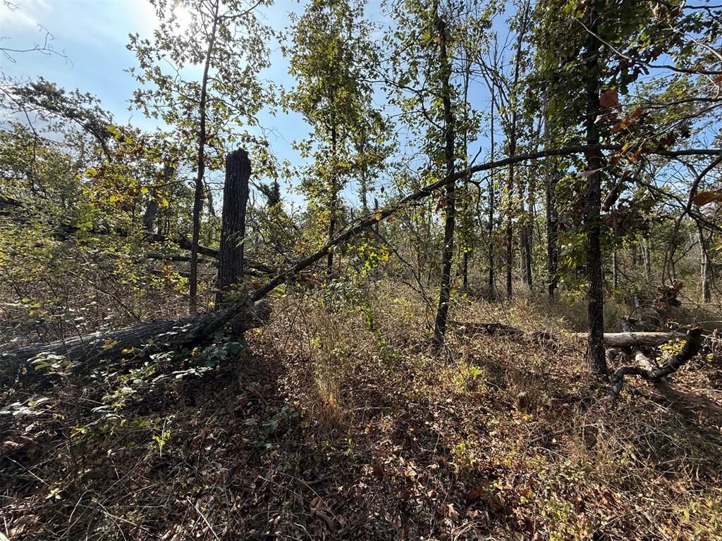 Photo de la propriété:  16 West Street  OK 73068