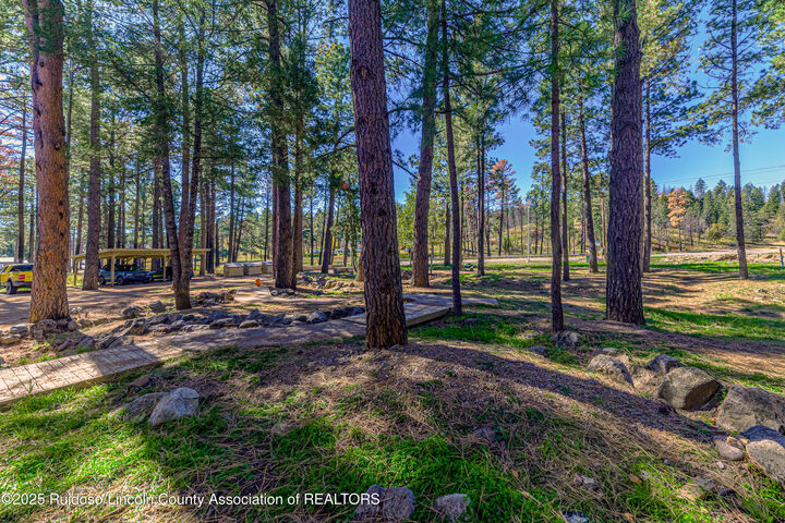 Property Photo:  1230 Mechem Drive #17  NM 88345 