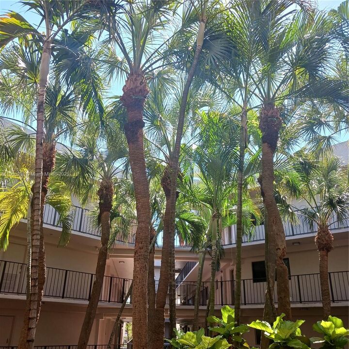 Property Photo:  8650 SW 133rd Ave Rd 208  FL 33183