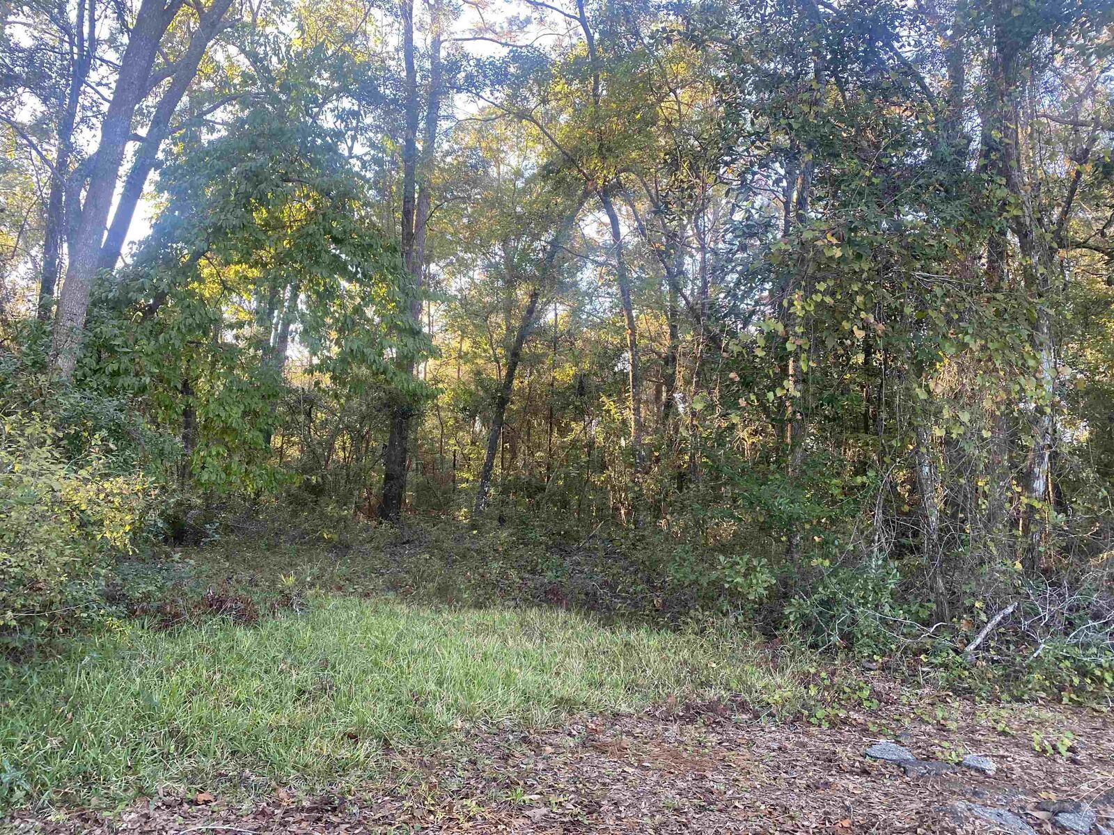 Property Photo:  0 Old St Augustine Road  FL 32311-8538