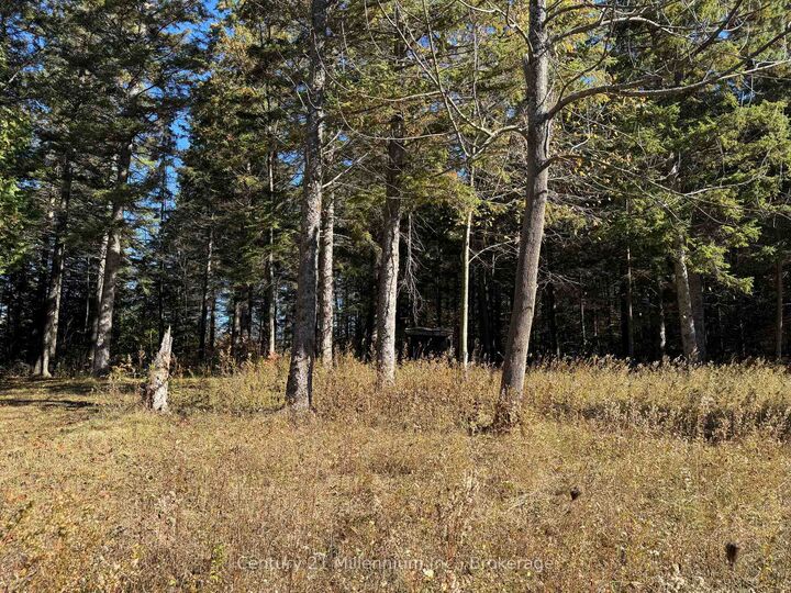 Photo de la propriété:  627383 15 Side Road  ON L0N 1M0 