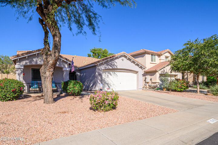 Property Photo:  15352 W Laurel Lane  AZ 85379 