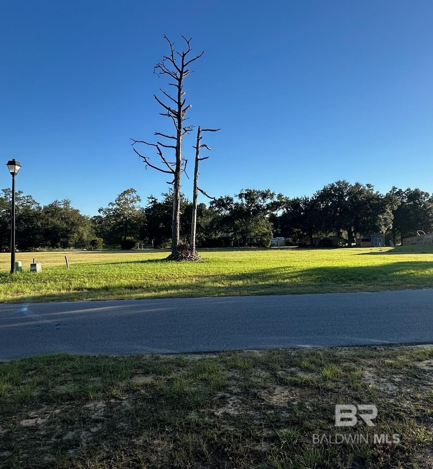 Property Photo:  0 Sparrow Road  AL 36532