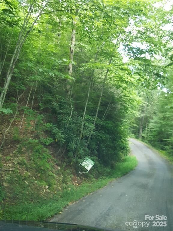 Property Photo:  62 Turkey Hollow Court  NC 28785