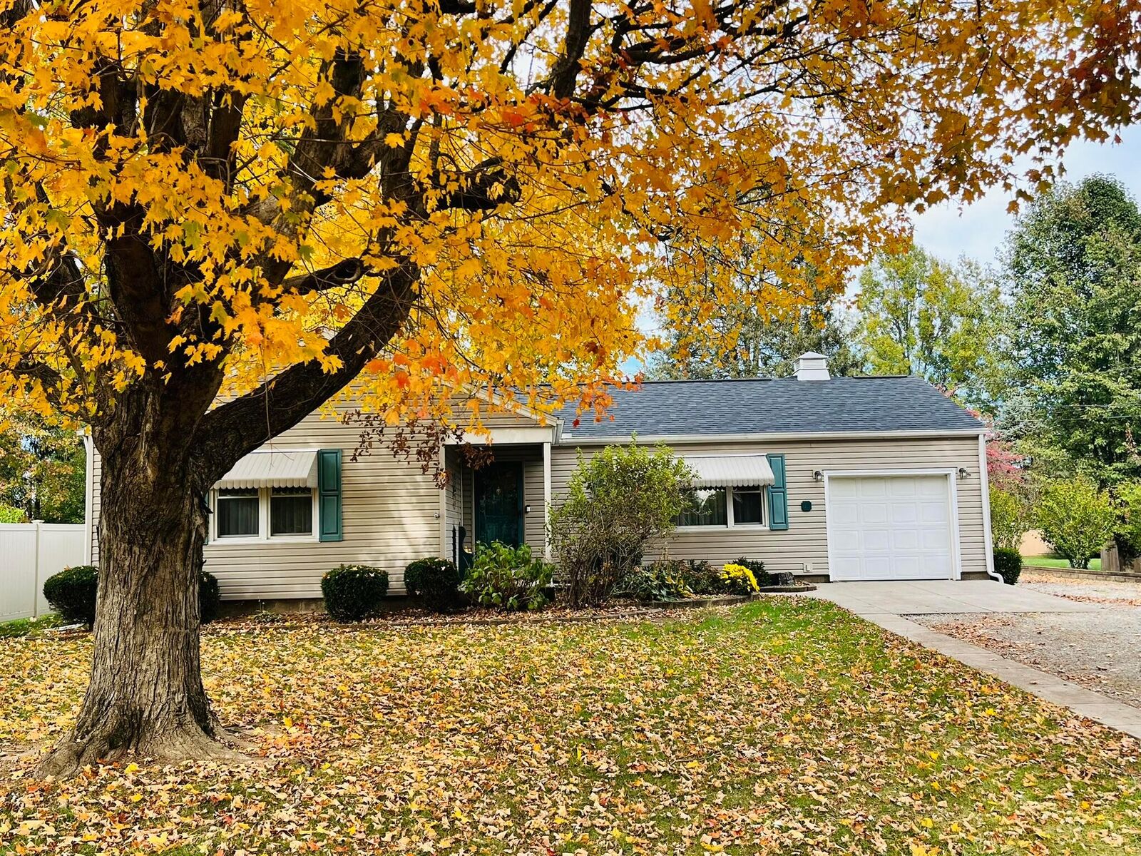 Property Photo:  66 North Vernon Avenue  OH 43055