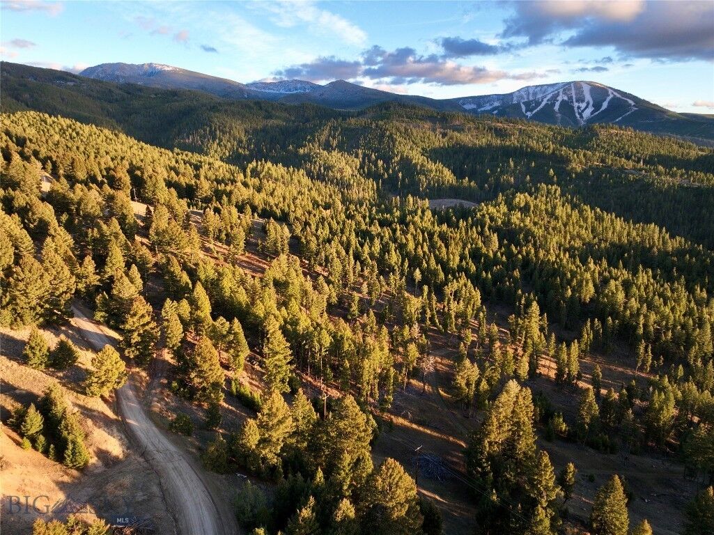 Property Photo:  Lot 5 Scranton Lode  MT 59858 