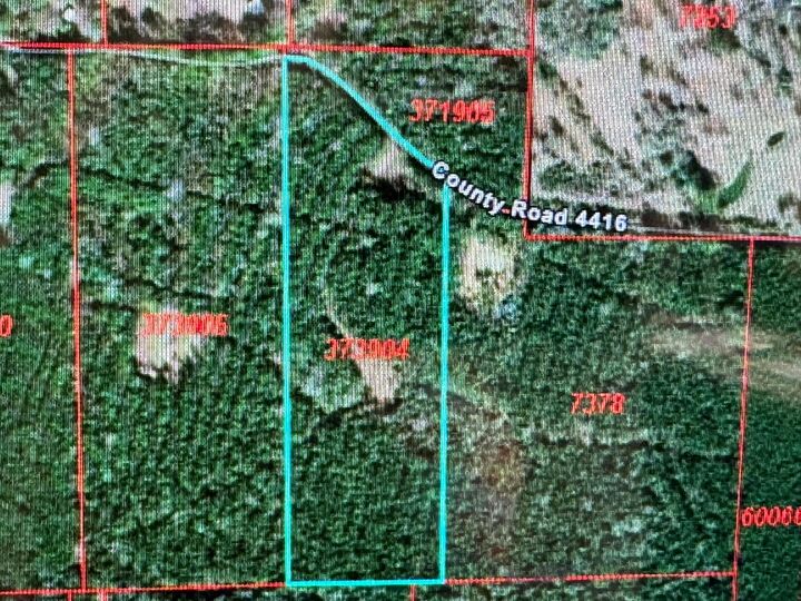 Property Photo: 795 County Road 4416 TX 75979