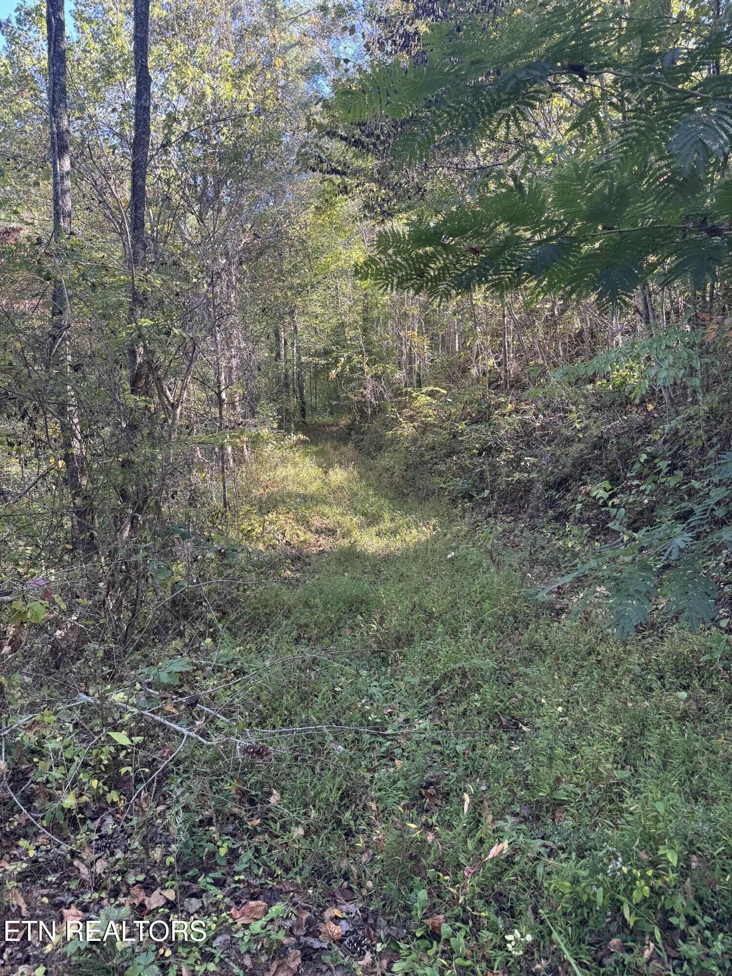 Property Photo:  251 Mine Hollow Rd  TN 37369 