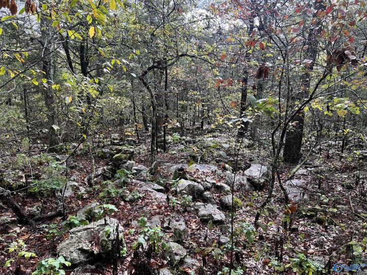 450 North Cedar Cove  Hartselle AL 35640 photo