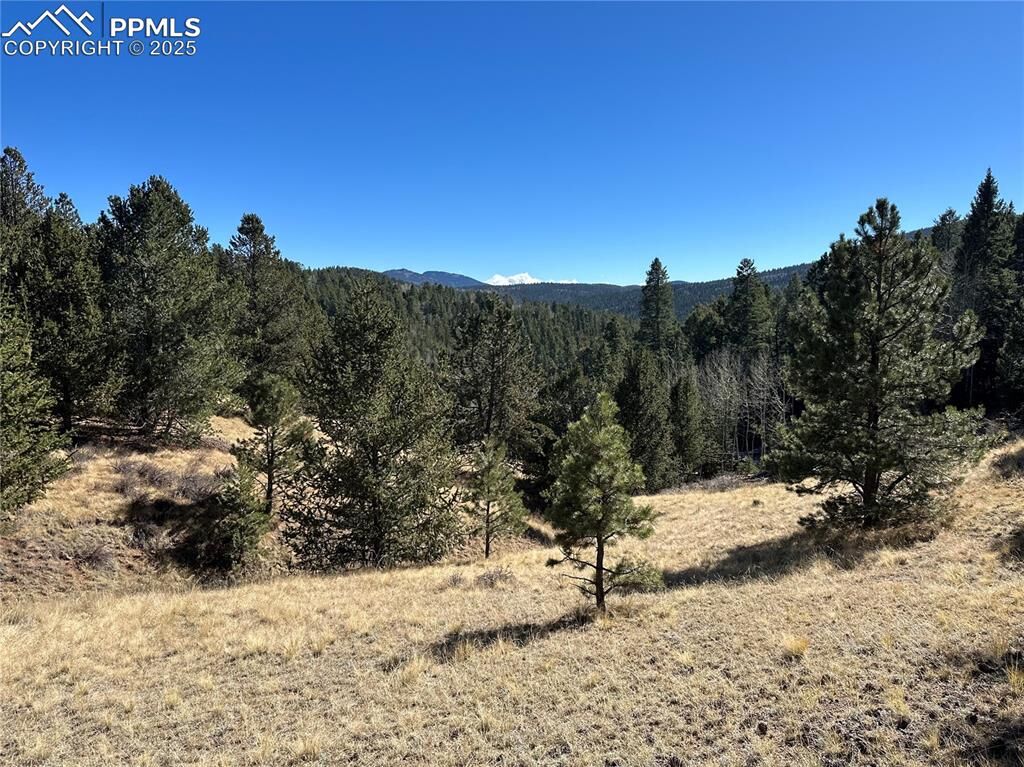 Property Photo:  1196 Wellington Drive  CO 80813 