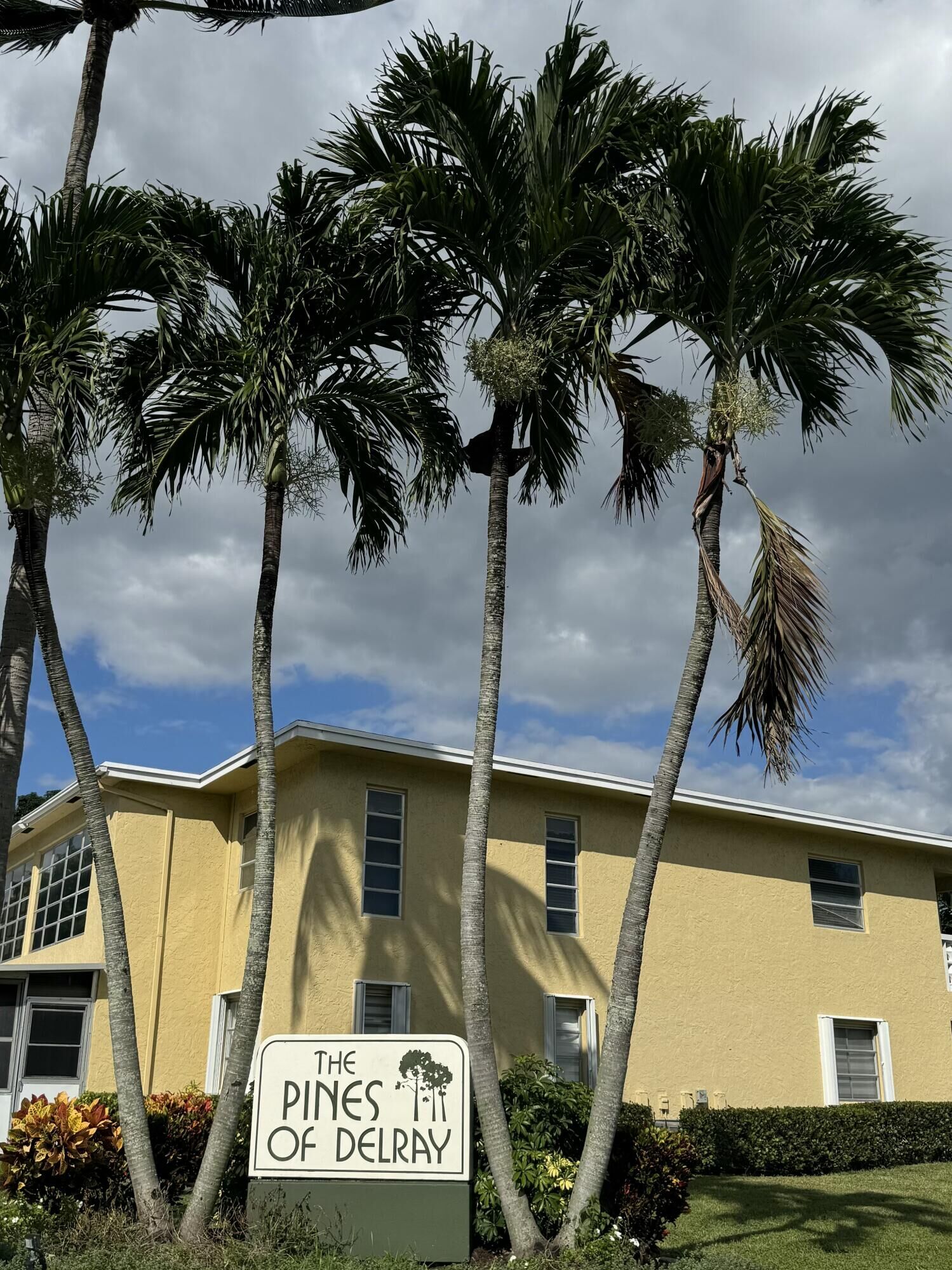 Property Photo: 1141 Violet Terrace 202 FL 33445