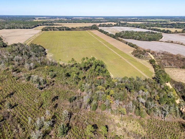 Property Photo:  1203 Bellview Road  GA 39837 