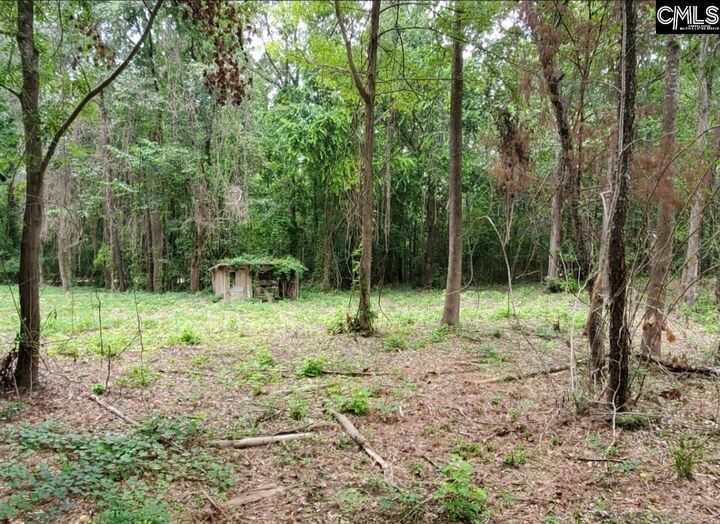 Property Photo: 220 Courtland SC 29036