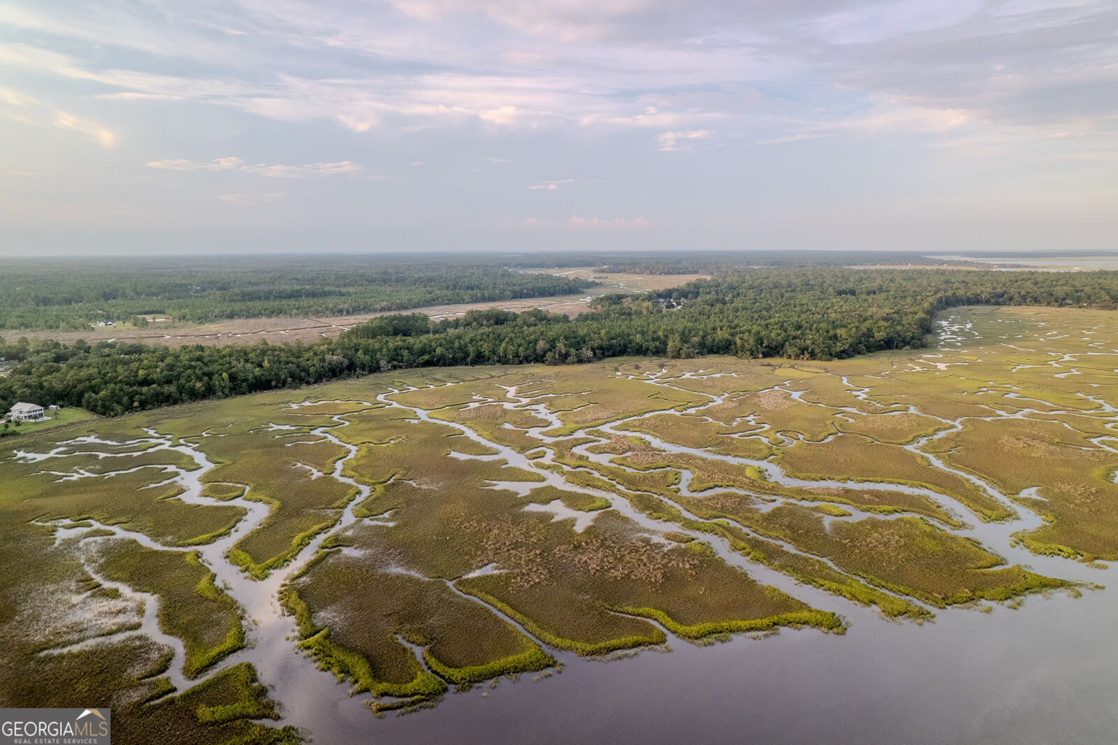 Property Photo:  0 Sheffield Island Road 7  GA 31569 