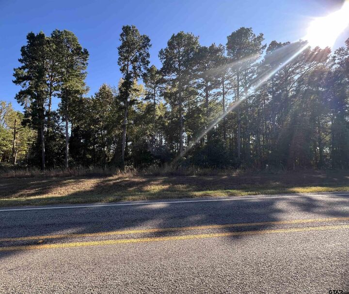 Property Photo: Tbd Cr 3490 TX 75765