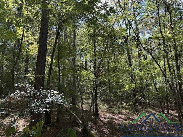 Property Photo:  Tbd County Road 4682  TX 75633 