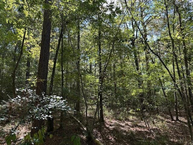 Property Photo:  Tbd County Road 4682  TX 75633 