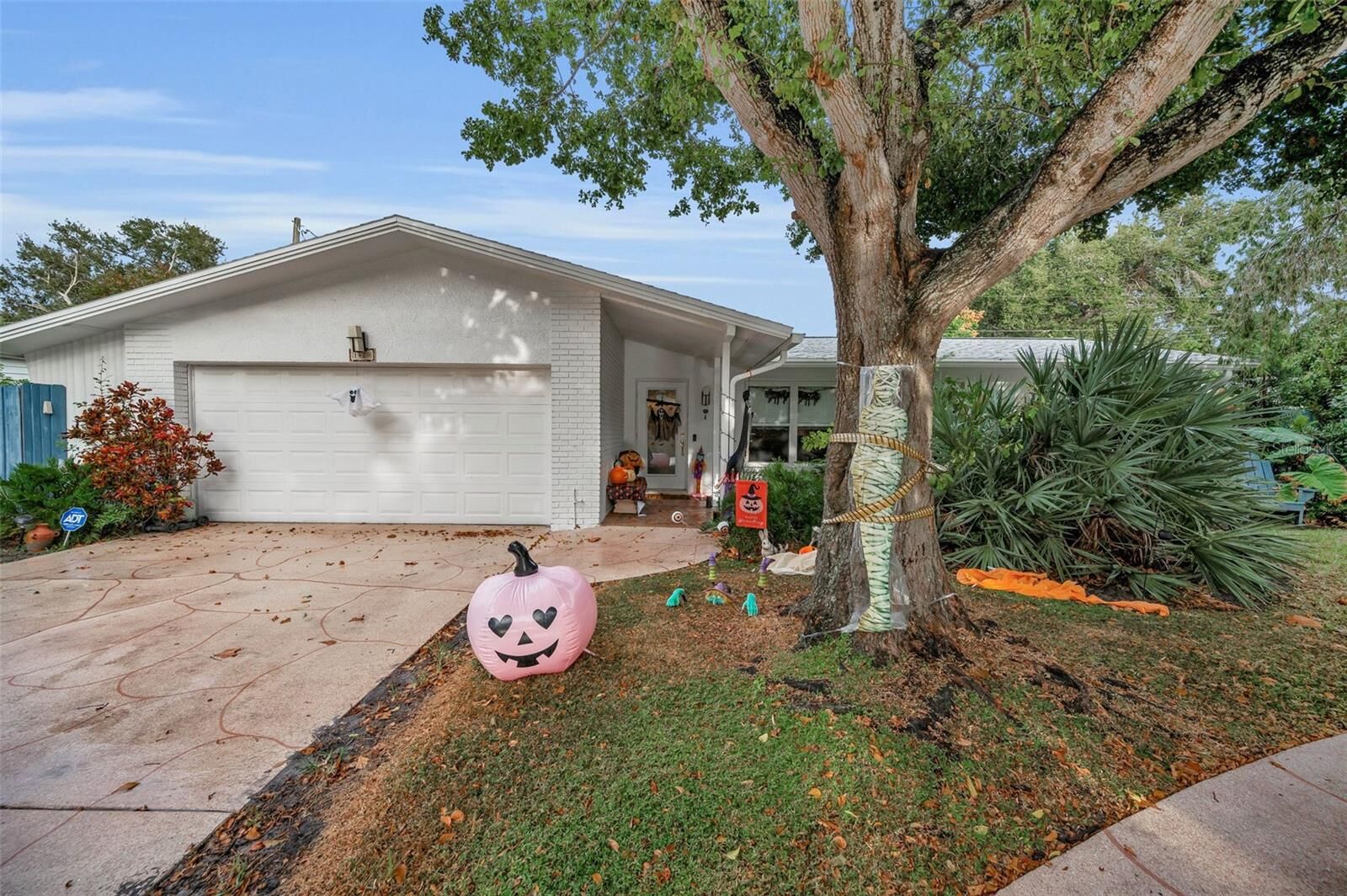Property Photo: 1479 S Evergreen Avenue FL 33756