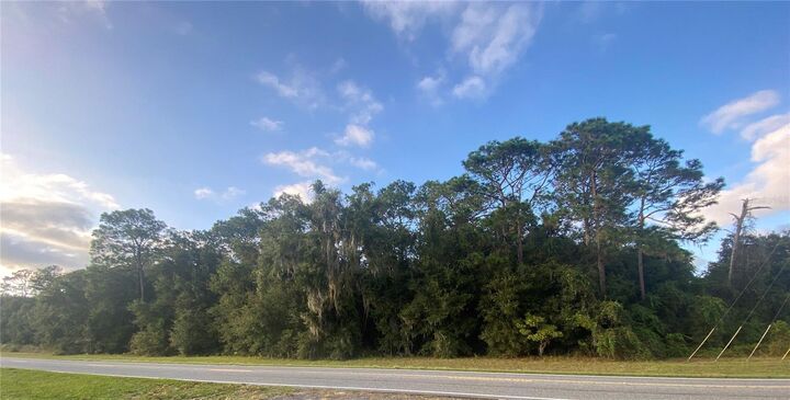 Property Photo: 0 County Road 466 FL 34484