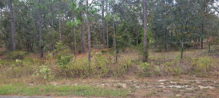Property Photo: 0 SW Arrow Leaf Trail FL 34431