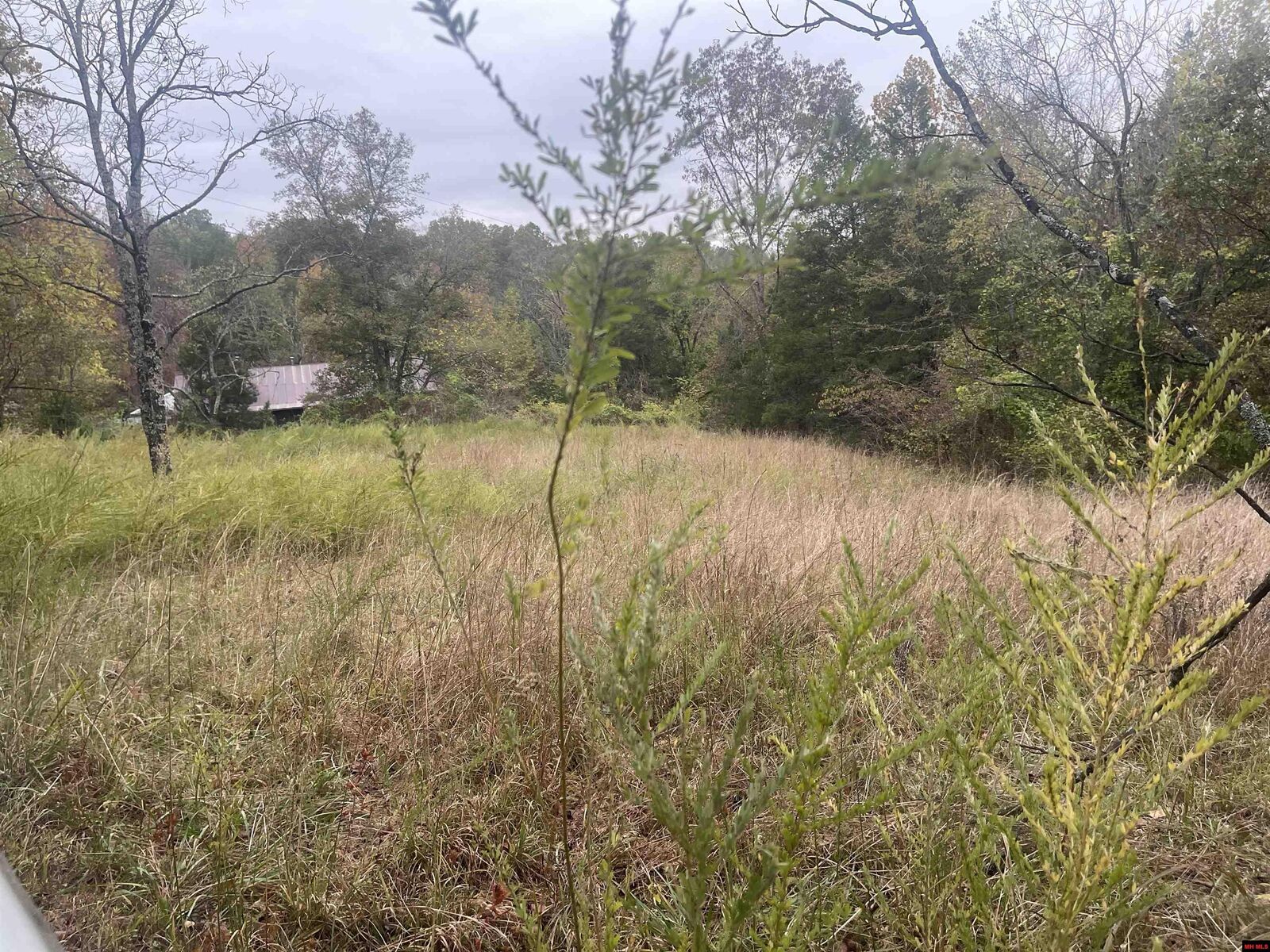 Property Photo:  618 Driftwood Drive  AR 72566 