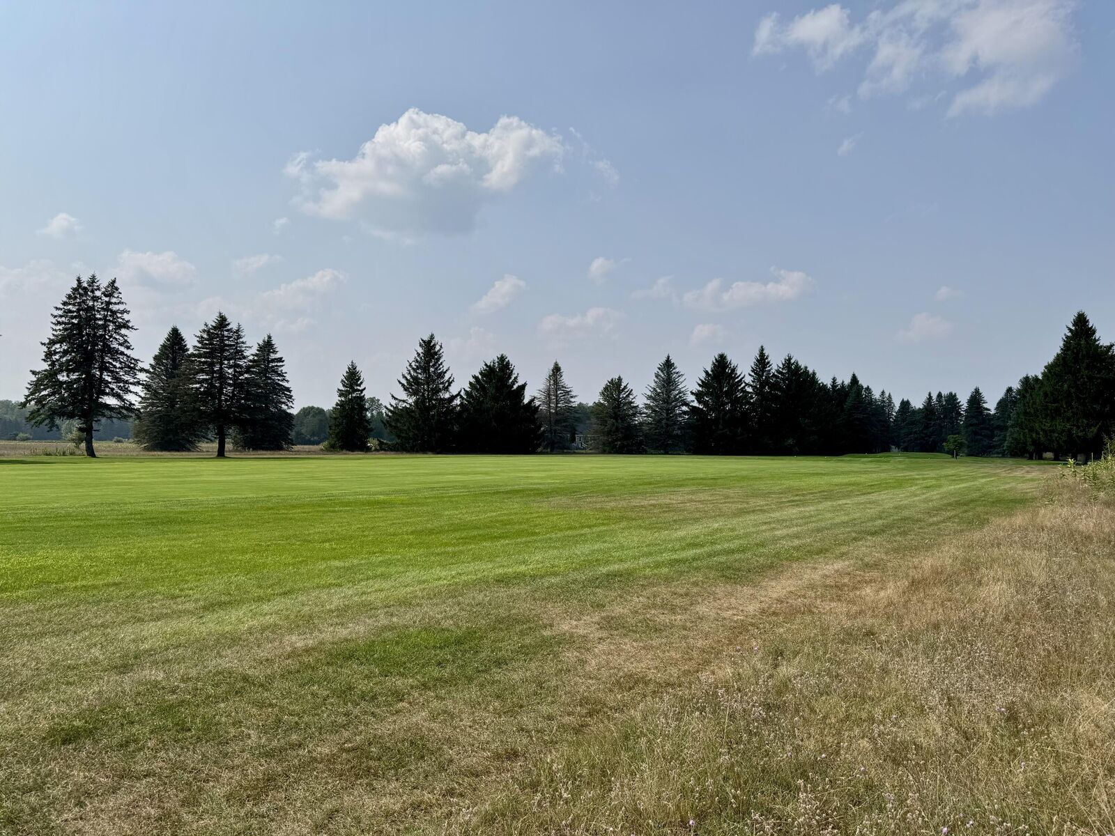 Property Photo: 7277 Ryans Run MI 49346