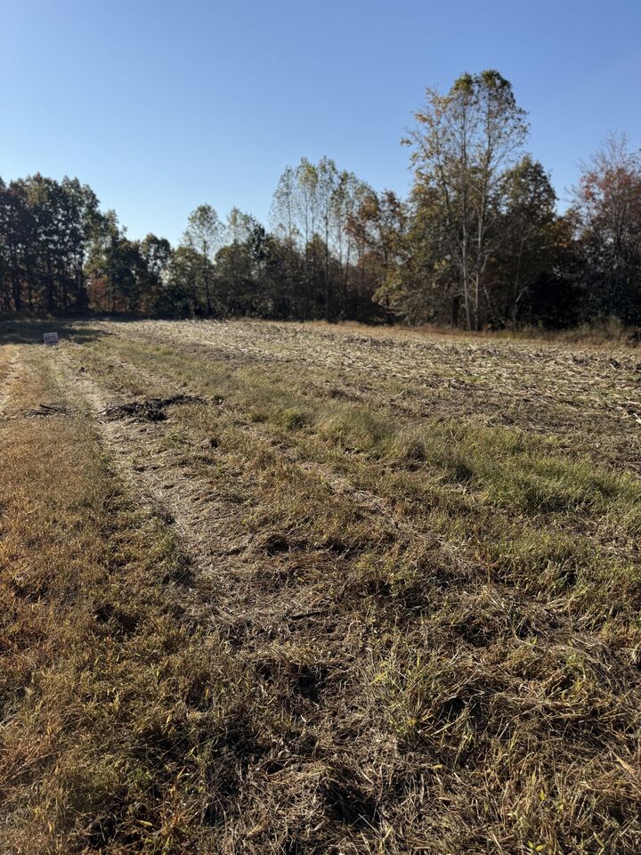 Property Photo:  0 Oak Grove Road  TN 37150 