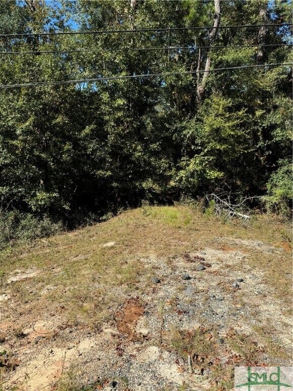 Property Photo:  260 Old Highway 204 Road  GA 31302 