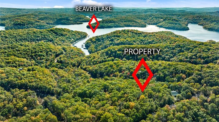 Tract 1  1601 Mundell Road  Eureka Springs AR 72631 photo