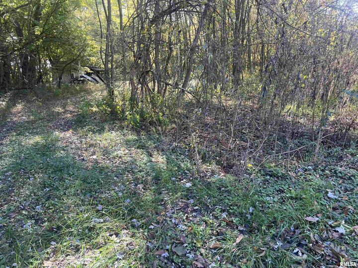 400 W Cross Street  Kinmundy IL 62854 photo