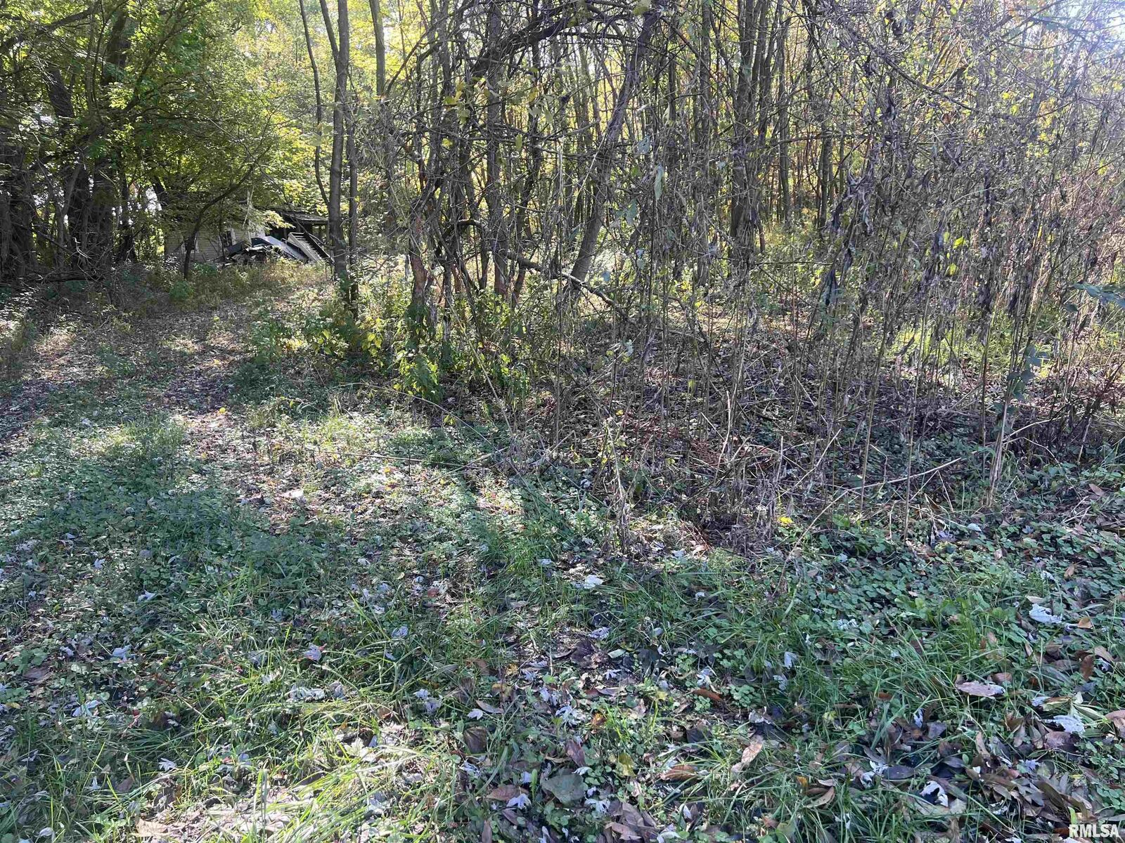 Property Photo:  400 W Cross Street  IL 62854 