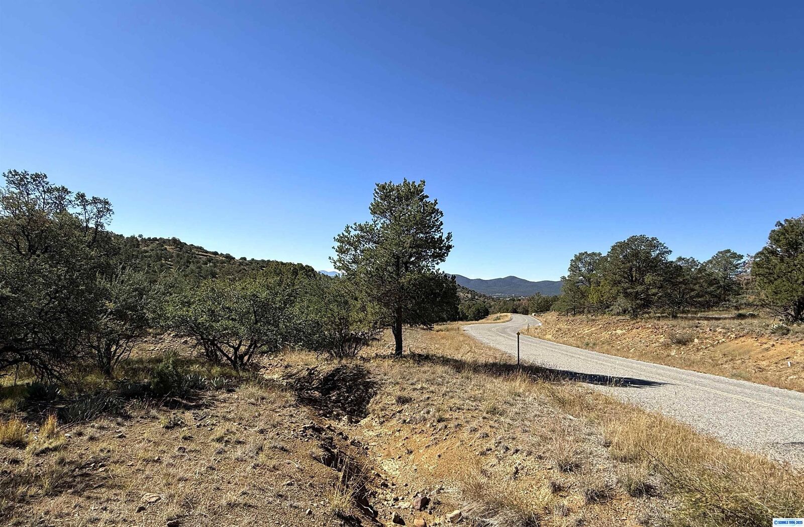 Property Photo: 3 Lots N Swan Street Lots 72, 73, 74 NM 88061