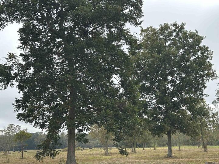 Property Photo: 8874 Elton St LA 70755