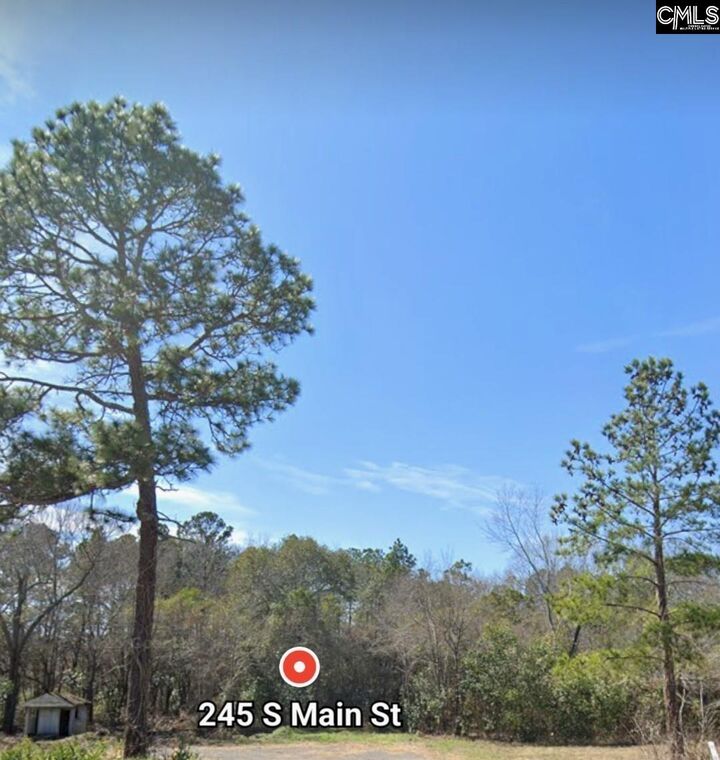Property Photo: 245 South Main Lot B SC 29053