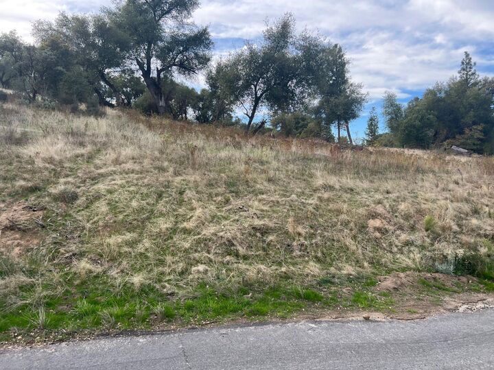 Property Photo: 1 Hangtree Court CA 93644