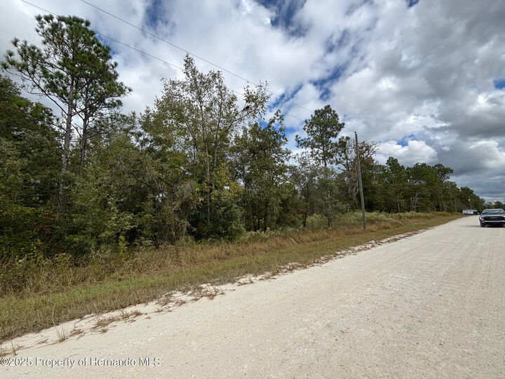 Property Photo:  Lot 11 Red Marlin Avenue  FL 34614 