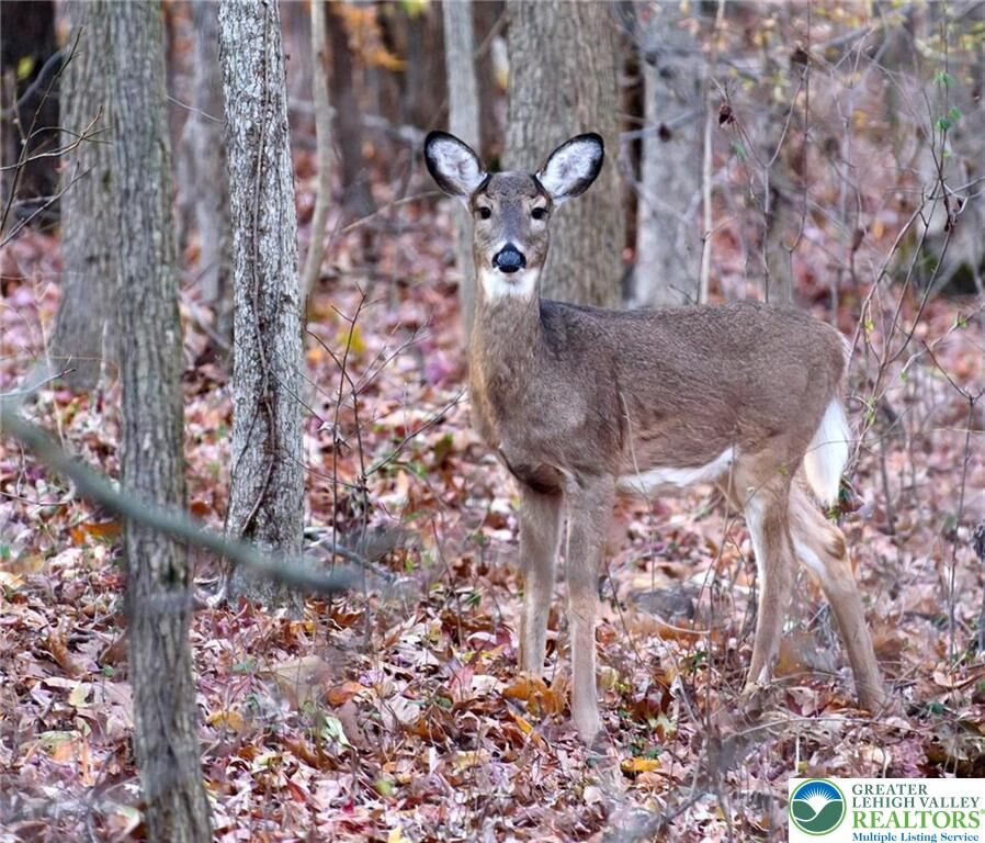 Property Photo: 119 Tumbleweed Drive PA 18334
