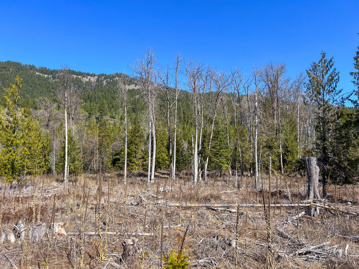 26xx Flowery Trail Rd  Chewelah WA 99109 photo