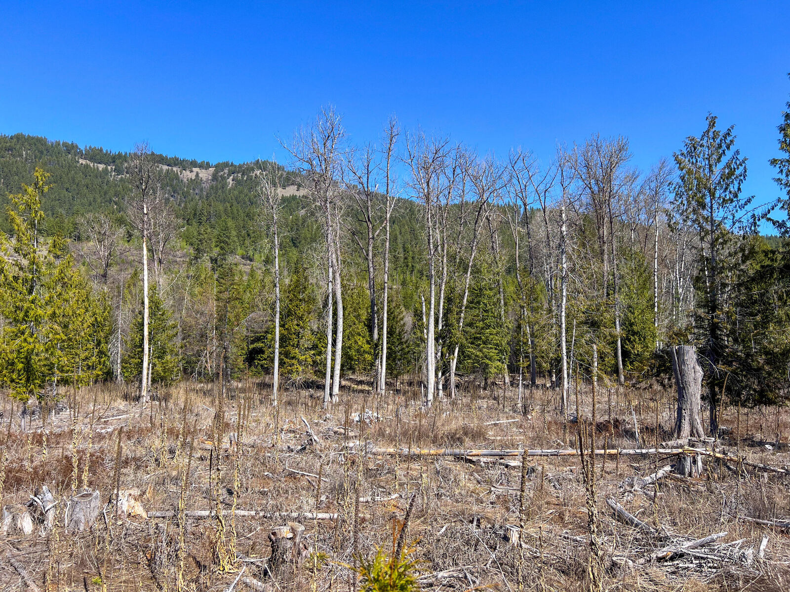 Property Photo:  26xx Flowery Trail Rd  WA 99109 